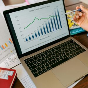 Gestión Mensual de Publicidad